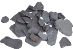 BridlicaSadira
