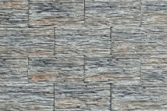 bridlica_lamana_varicolor