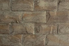 bridlica_standard_varicolor_0